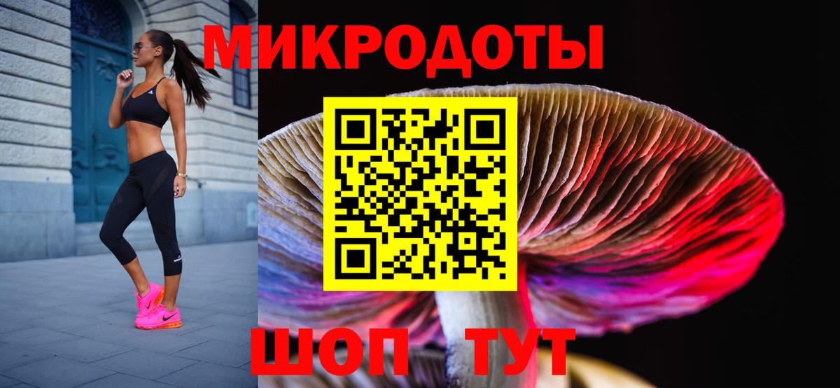 наркота  Галлюциногенные грибы Psilocybe  Вход с VPN  Назрань 
